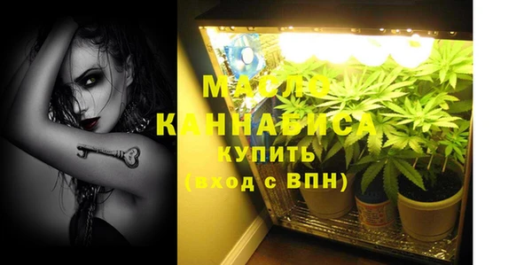 винт Каменка