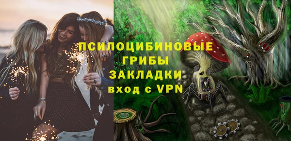 винт Каменка