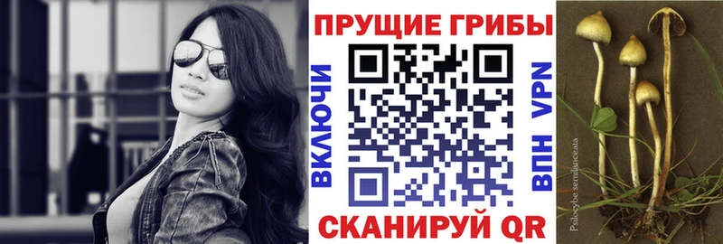 Галлюциногенные грибы мухоморы  Купить закладки  Арск 
